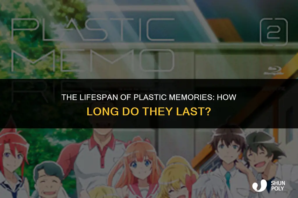 how long do they keep memories in plastic memory