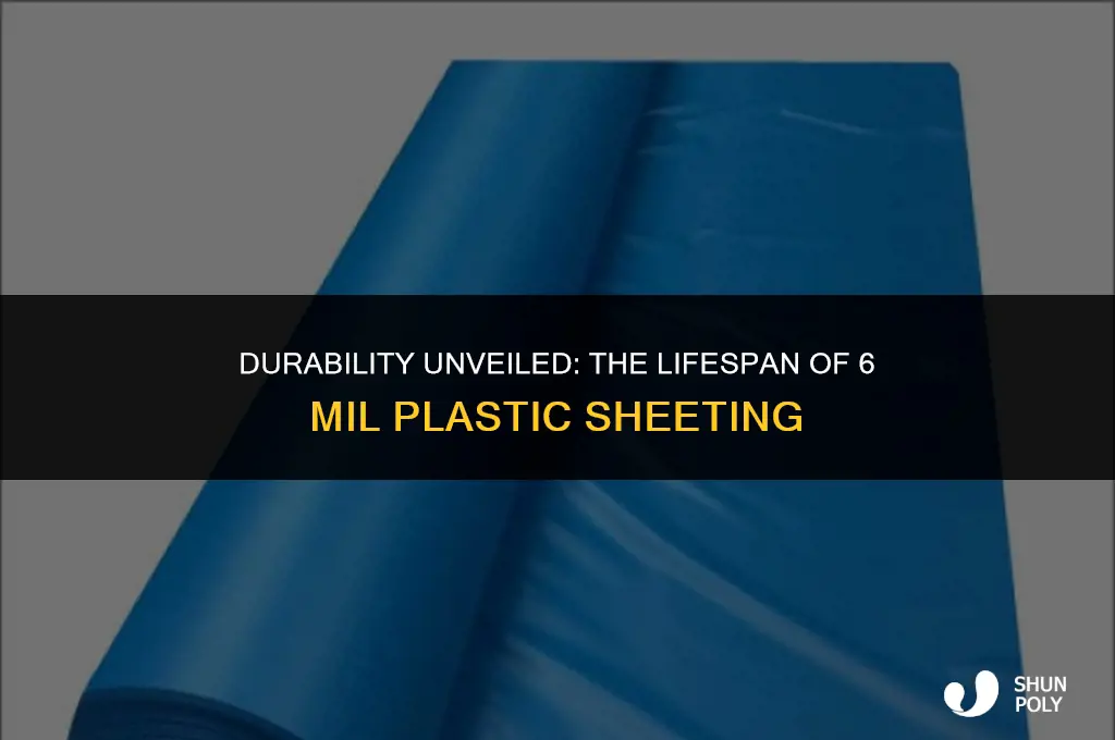 how long does 6 mil plastic last