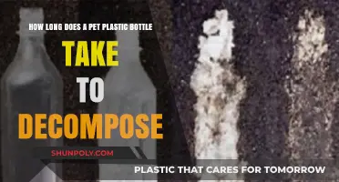 Plastic Bottle Decomposition: How Long Do Pet Bottles Last?