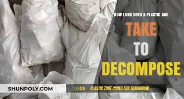 Plastic Bag Decomposition: The Long Environmental Journey