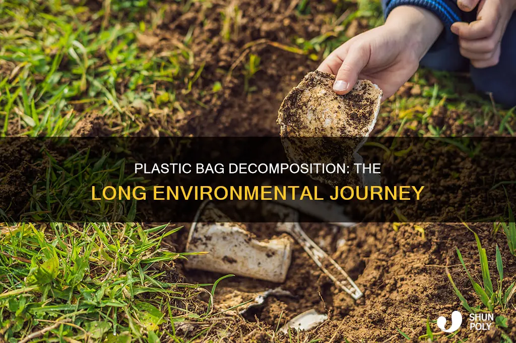 how long does a plastic bag take to decompose