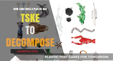 Plastic Bag Decomposition: Understanding the Shocking Timeline and Impact