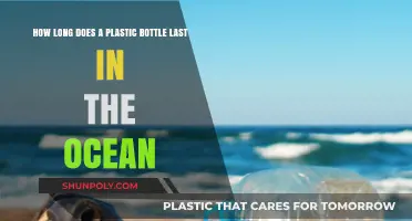 Plastic Bottle's Ocean Lifespan: A Shocking Environmental Reality Revealed