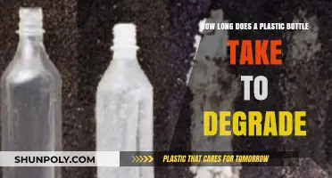 Plastic Bottle Breakdown: Understanding Its Slow Environmental Degradation Process