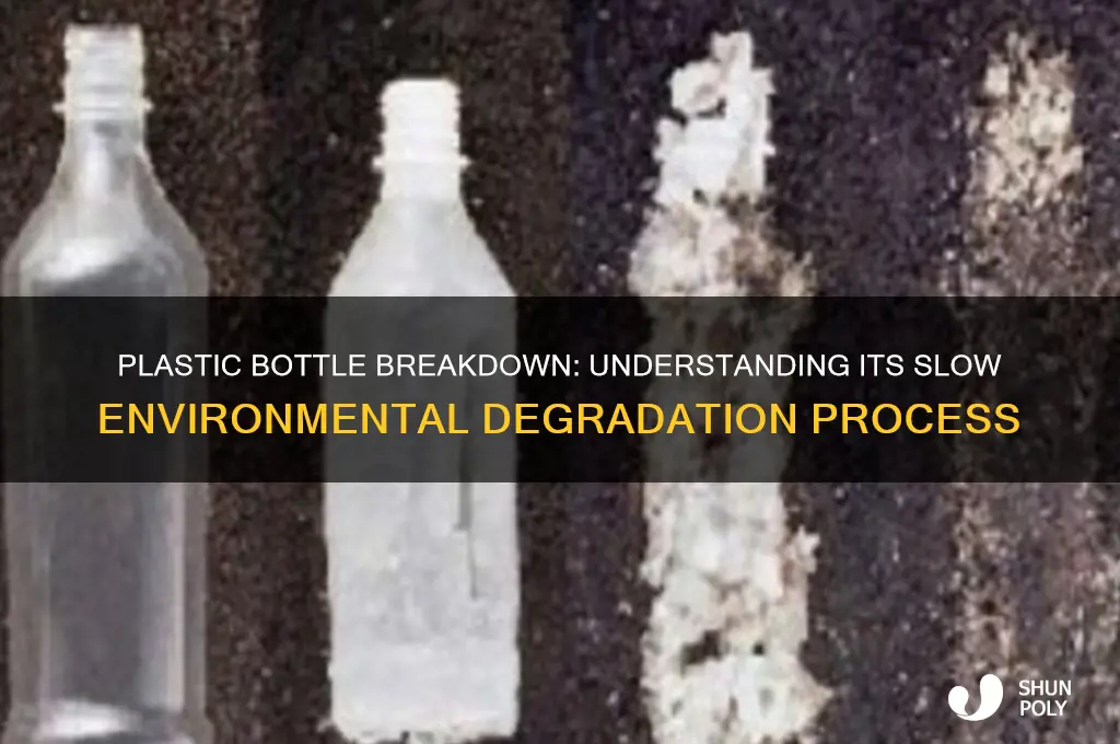 how long does a plastic bottle take to degrade