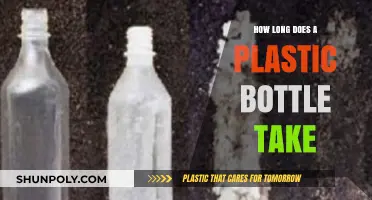 Plastic Bottle Decomposition: Understanding the Environmental Impact and Timeline