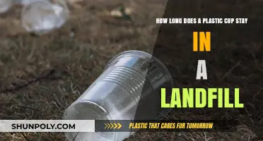 The Lingering Impact: Plastic Cups' Lifespan in Landfills Revealed