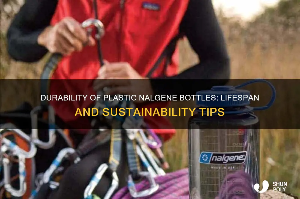 how long does a plastic nalgene bottle last for