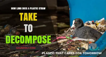 The Shocking Truth About Plastic Straw Decomposition Time