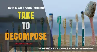 The Environmental Impact of Plastic Toothbrushes: A Decomposition Timeline