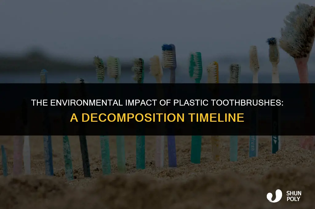 how long does a plastic toothbrush take to decompose