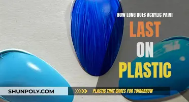 Acrylic Paint on Plastic: Longevity and Tips for Application