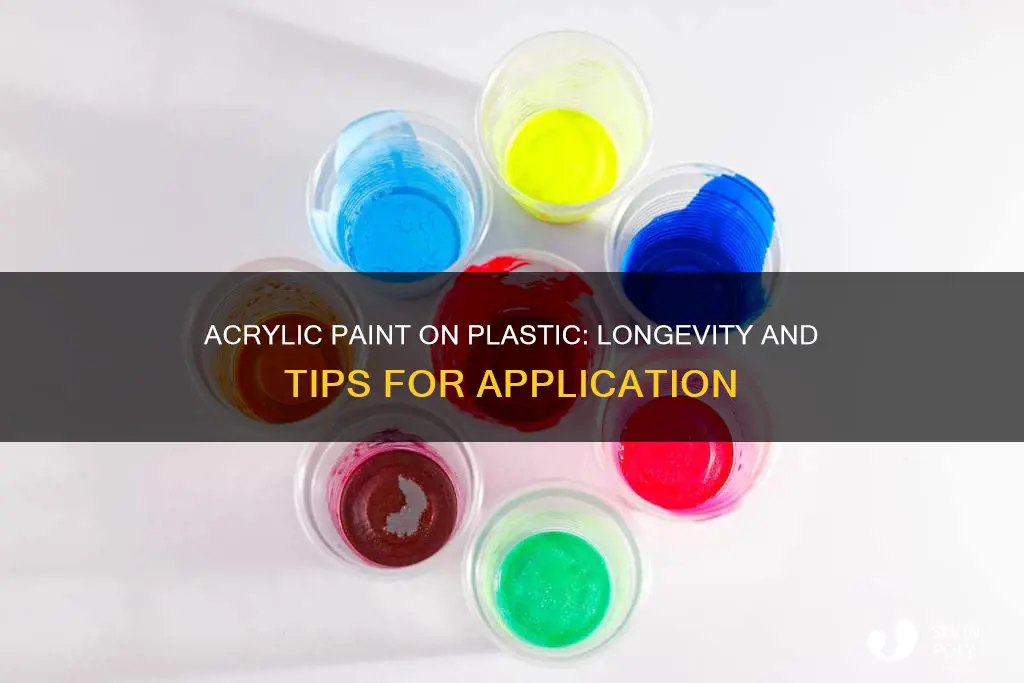 how long does acrylic paint last on plastic
