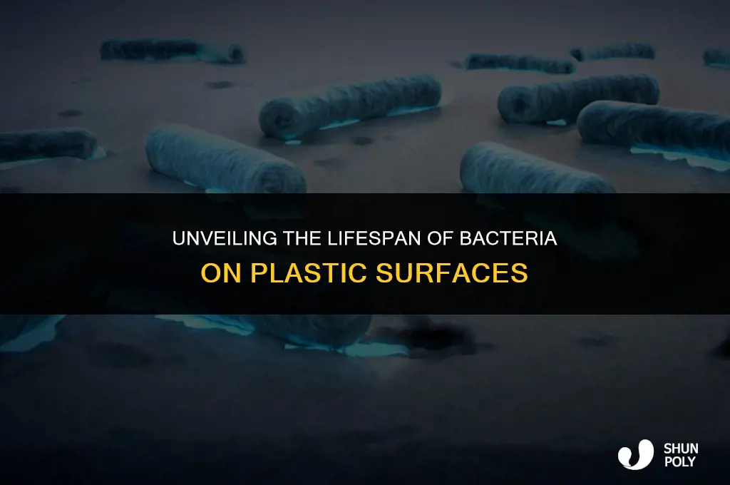 how long does bacteria live on plastic