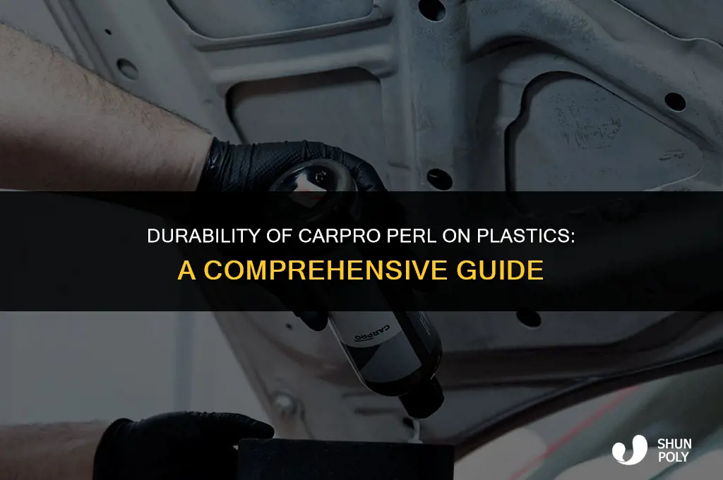 how long does carpro perl last on plastics