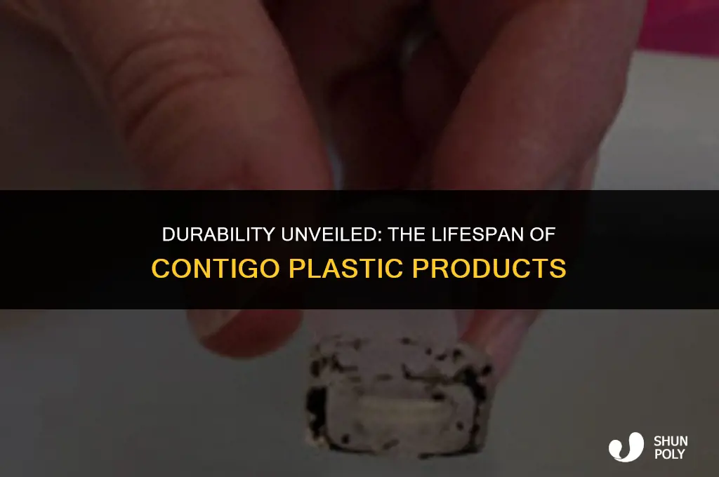 how long does contigo plastic last