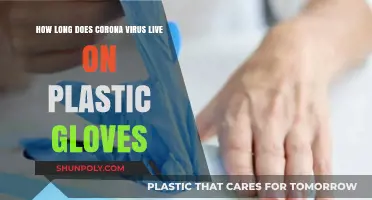Unveiling the Lifespan of Coronavirus on Plastic Gloves: A Comprehensive Guide