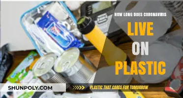 Unveiling the Persistence: How Long Does Coronavirus Survive on Plastic?