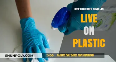 Unveiling the Persistence: COVID-19's Lifespan on Plastic Surfaces