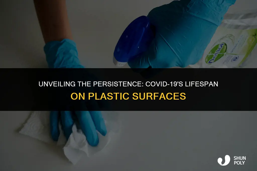 how long does covid -19 live on plastic