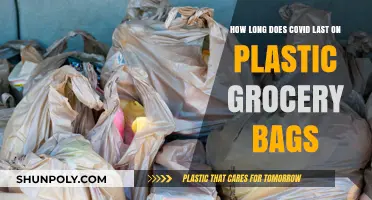 How Long Does COVID-19 Survive on Plastic Grocery Bags?