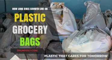 COVID-19 Survival Time on Plastic Grocery Bags: What You Need to Know