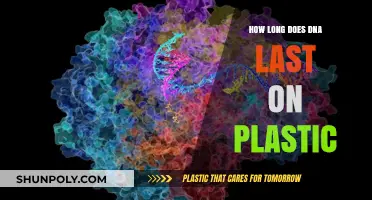Unraveling the Mystery: DNA's Shelf Life on Plastic Surfaces