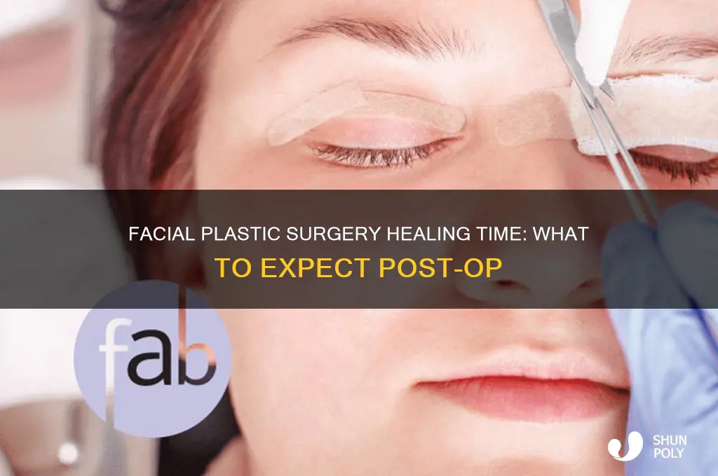 how long does facial plastic surgery take to heal