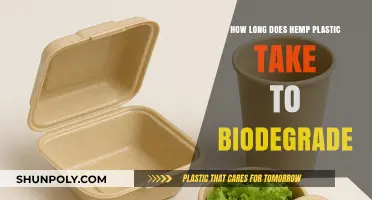 The Eco-Friendly Breakdown: Hemp Plastic's Biodegradation Timeline