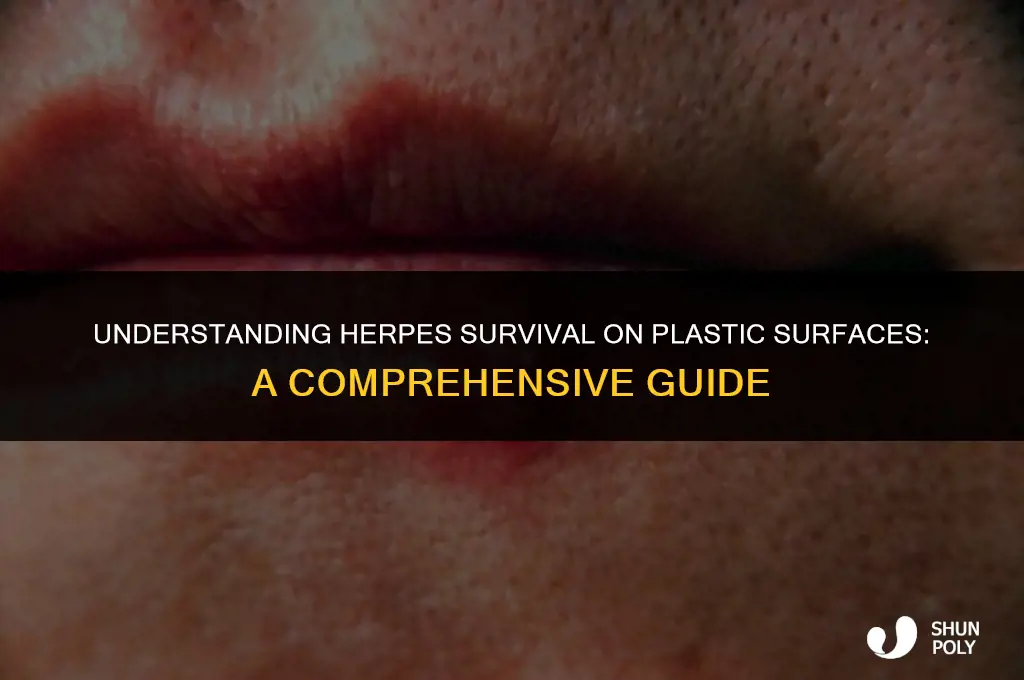 how long does herpes live on plastic