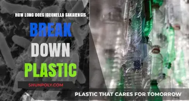 Unveiling the Plastic-Devouring Potential of Ideonella Sakaiensis