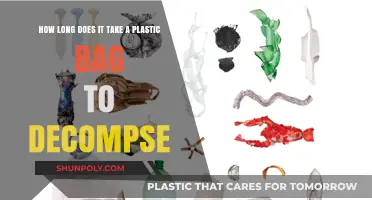 Plastic Bag Decomposition: Understanding the Shocking Timeline in Nature