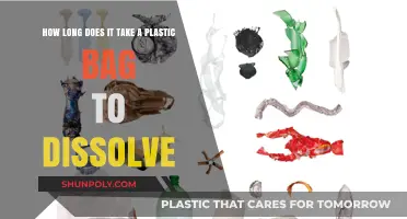 Plastic Bag Breakdown: Understanding the Time It Takes to Dissolve