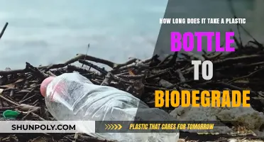 Plastic Bottle Biodegradation: Understanding the Environmental Impact and Timeline