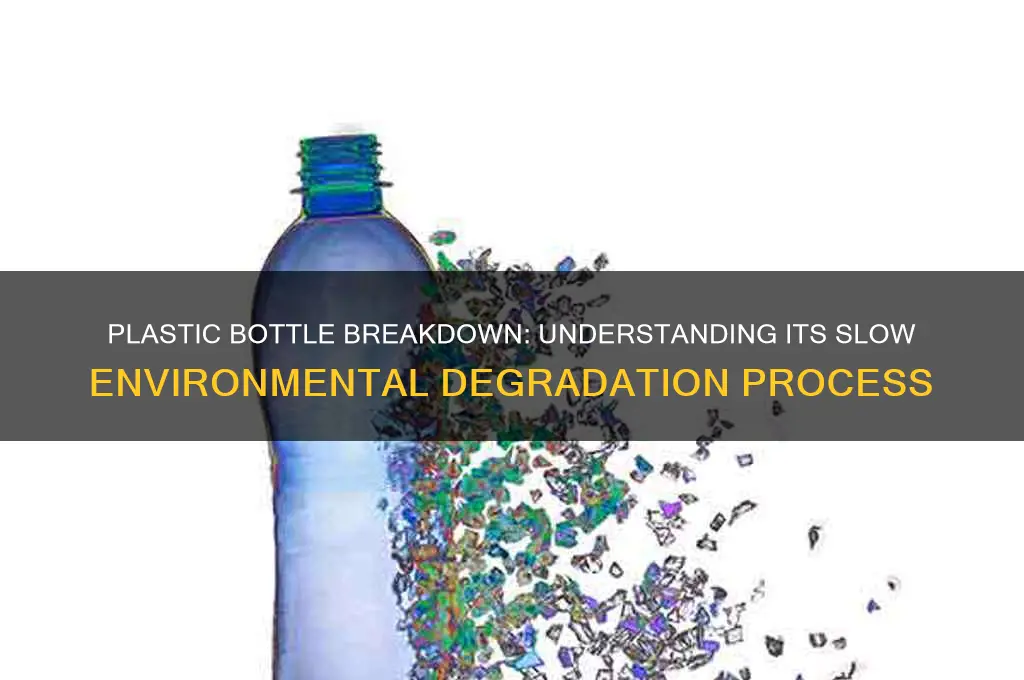 how long does it take a plastic bottle to degrade