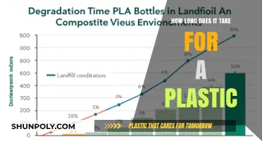 The Degradation Timeline: Understanding Plastic's Environmental Impact