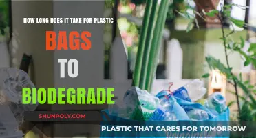 Plastic Bags' Biodegradation Timeline: Uncovering the Environmental Impact