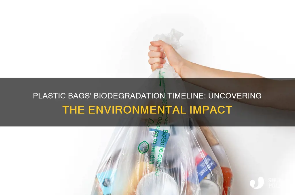 how long does it take for plastic bags to biodegrade