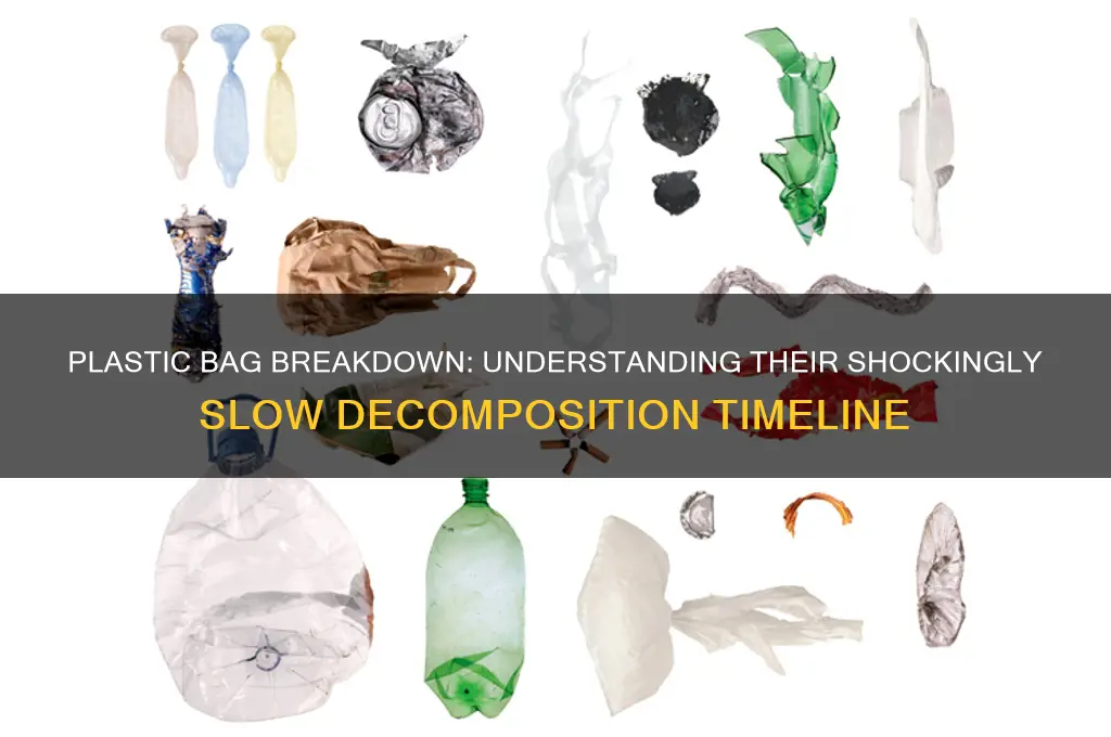 how long does it take for plastic bags to defrade