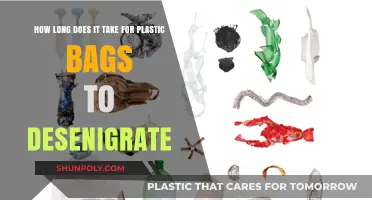 Plastic Bags' Slow Decay: Understanding Their Environmental Lifespan