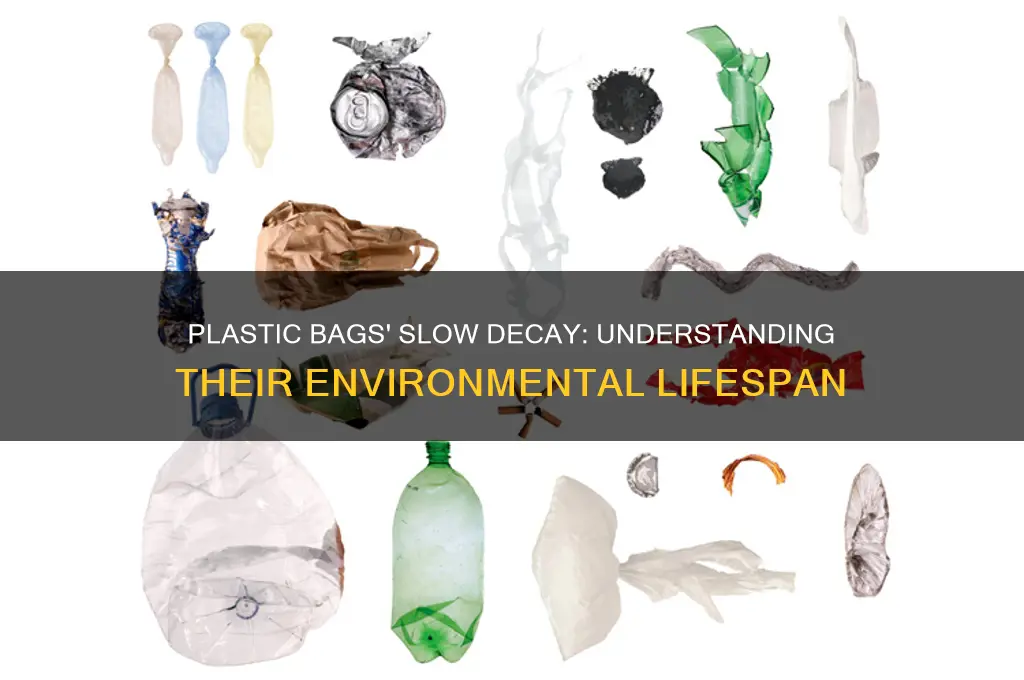 how long does it take for plastic bags to desenigrate