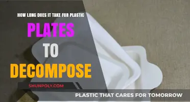 The Environmental Impact of Plastic Plates: A Decomposition Timeline