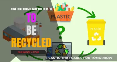 The Plastic Recycling Journey: Unraveling the Timeframe