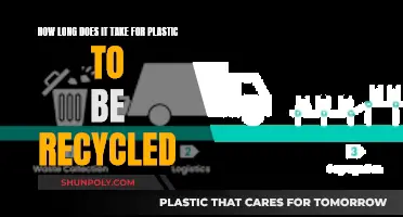 The Complex Timeline of Plastic Recycling