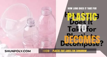 Unraveling the Timeline: Plastic's Journey to Decomposition