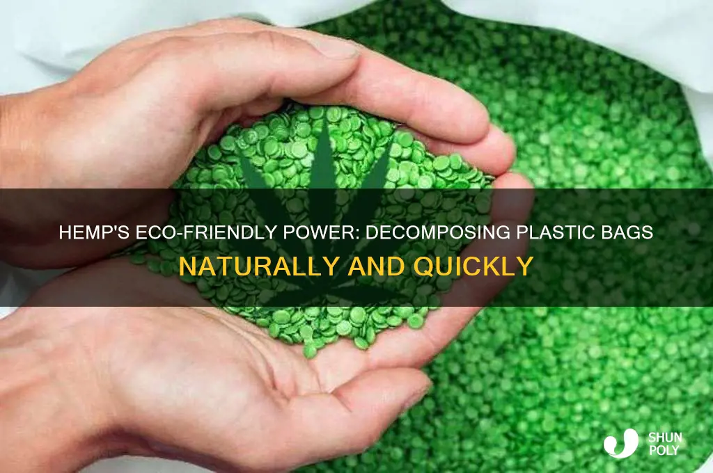 how long does it take hemp to disinigrate plastic bags