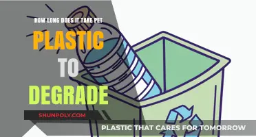 The Environmental Impact of PET Plastic: A Degradation Timeline