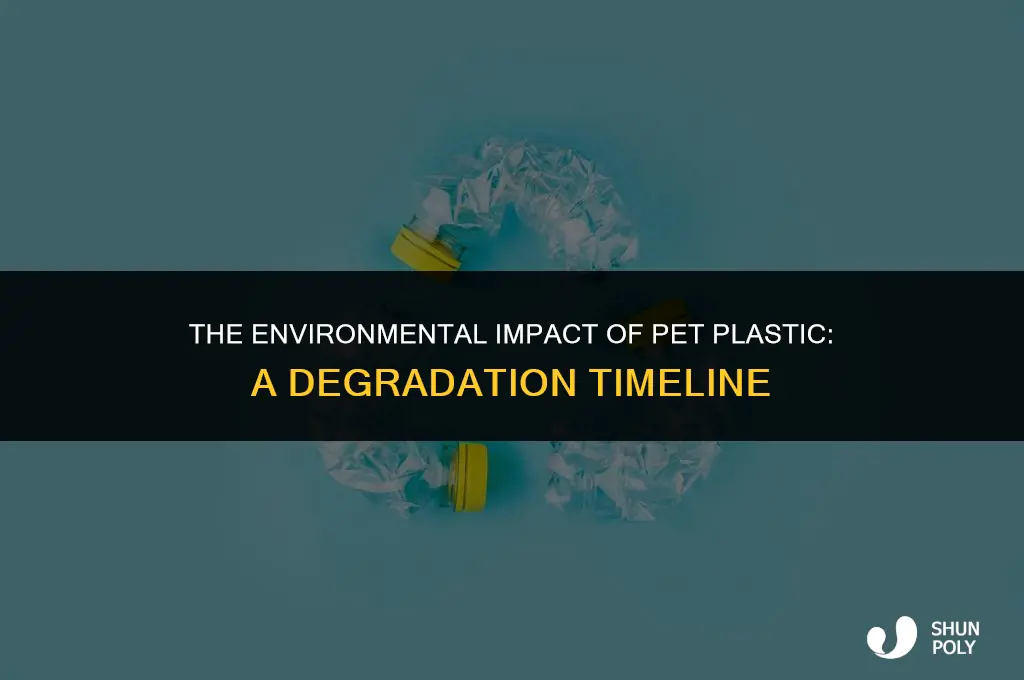 how long does it take pet plastic to degrade
