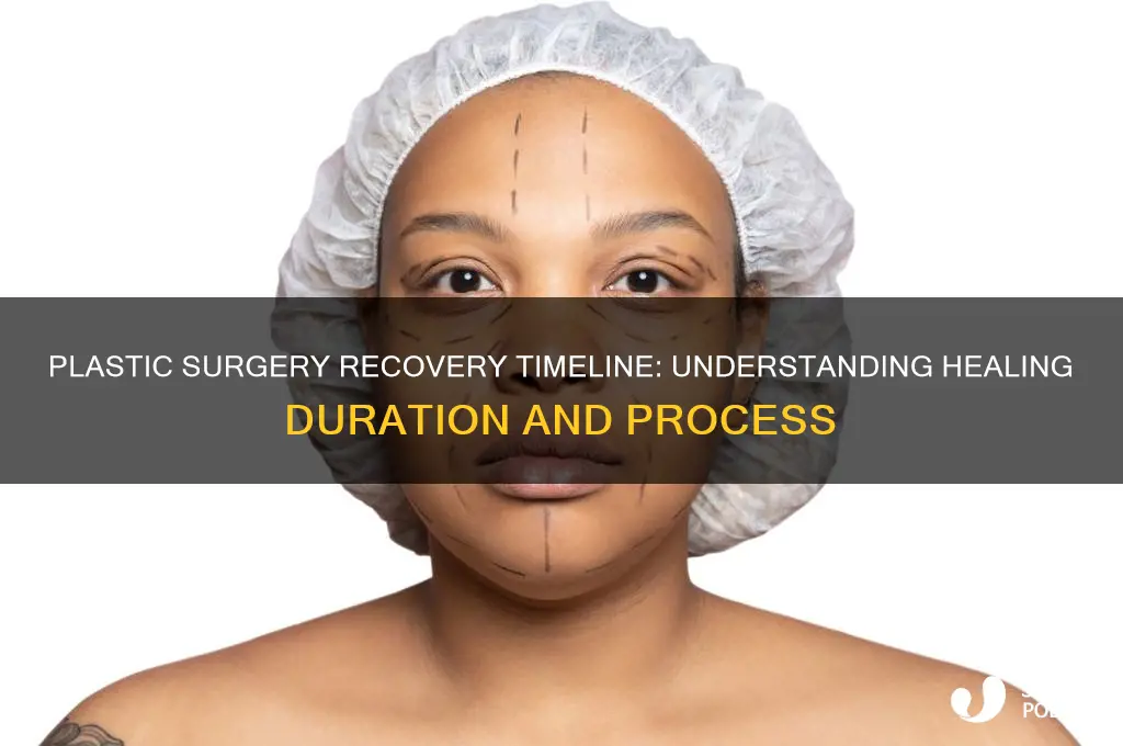 how long does it take plastic surgery to heal