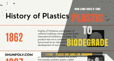 The Slow Breakdown: Understanding Plastic Biodegradation Timeline